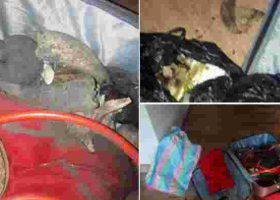 Three People Arrested for Conning Nairobi Couple Out of Sh2 Million While Posing as Witchdoctors