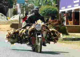 Mishandling Chickens will Land You in Jail, DCI Warns Kenyans