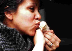 CDC Warns Americans against Kissing, Snuggling Chicken Due to Salmonella Outbreak