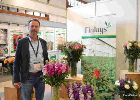 Over 1,000 Kenyans to Lose Jobs as Finlays Announces Closure of Farms