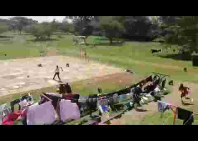 [WATCH] Baboons Invade Multimedia University in Nairobi, Chase after Students 