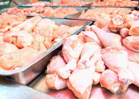 Kenyan Farmers Cry Foul as US Chicken Imports Flood Kenyan Market