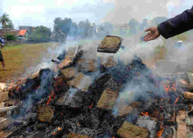 Kenyan Authorities Destroy Cocaine Worth Sh598 Million