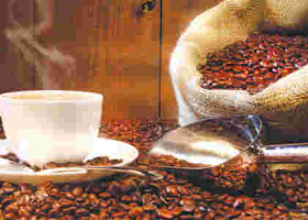 Kenyan Diaspora Entrepreneur Helps Kenya Find New Coffee Market in the US