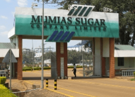 Mumias Sugar Company Fires All 700 Employees