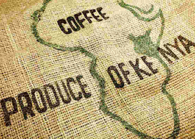 US Loses its Place as Largest Buyer of Kenya's Specialty Coffee