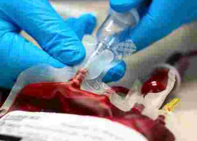 Kenyan Woman Attempts to Sell Her Blood to Raise School Fees for Daughter Who Scored 380 Marks 