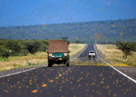 ‘How Did You Interview Cows?’: Kenyans Online Bash US-Based CBS News over Locusts’ Invasion Story