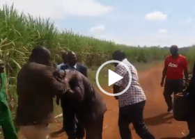 Video of MP Benjamin Washiali Raining Blows and Kicks On Man Goes Viral