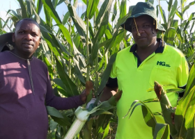 Meet Paul Irungu, a Kenyan-Born Man Making a Fortune from Growing and Selling Maize in Australia