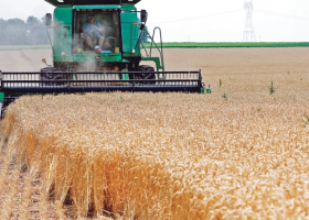 Kenya Lifts Ban on Wheat Imports from the US