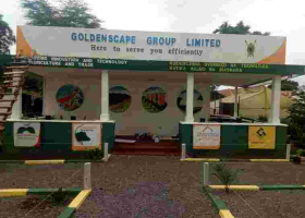 Detectives Raid Goldenscape Offices in Nairobi, Seize 10 Computers 