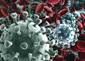 Nigeria Registers its First Coronavirus Death