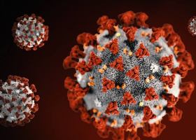 Africa's First Coronavirus Death Recorded in Egypt