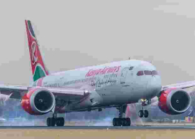 Senate Team Wants Kenyans Stranded Abroad Amid Covid-19 Crisis Evacuated for Free