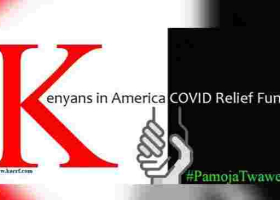 A Timely Initiative Helping Kenyans in America Hard Hit by Covid-19