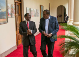 Kalonzo Supporters in the UK Endorse Plans to Form Unity Government