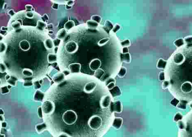 Kenya Records Highest Single-Day Covid-19 Deaths and Infections 