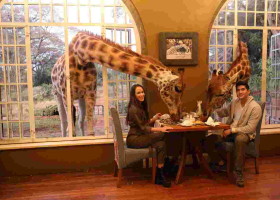 Nairobi-Based Luxury Hotel Giraffe Manor Under Fire over Racism Claims