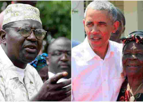 Mama Sarah Obama Weighs in on Barack Obama Birthplace Debate