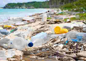 Kenya Bans Single-Use Plastics in Protected Areas