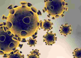 Kenya Registers Highest Single-Day Covid-19 Cases, Raising Tally to 2,767