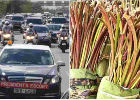 Kenyan Presidential Escort Officers Banned from Chewing Miraa
