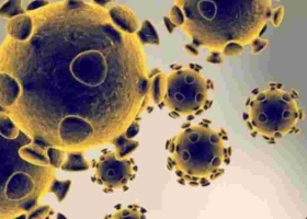 Kenya's Daily Covid-19 Cases Cross the 300 Mark for the First Time 