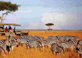 Kenya Becomes First Country Globally to Receive 'Safe Tourism Seal' Award