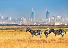 Nairobi National Park Expanded by 49,000 Acres 