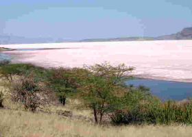 Lake Magadi, Kenya’s Only Source of Soda Ash on the Verge of Extinction