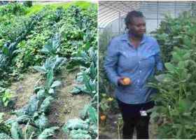 Kenyan Woman Reaps Big from Farming Vegetables Such as 'Managu' is the US