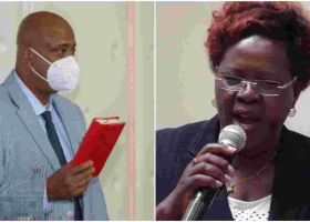 MP Alice Wahome in Court to Block Inclusion of Nairobi Metropolitan Boss in Cabinet 