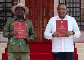 Kenyans in the Diaspora Express Displeasure with BBI Report 