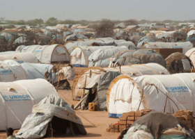 UNHCR Delists 14,000 Kenyans Registered as Refugees 