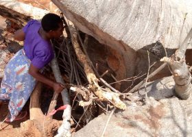 Pregnant Kenyan Woman and Her 6 Kids Live Inside Tree Stump for Months [PHOTOS]