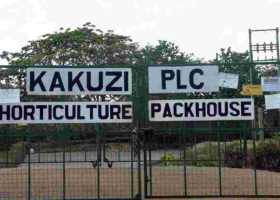 More UK, German Retailers Cut Avocado Supplies by Kenyan Producer Kakuzi