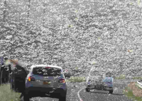 Kenya Warned of Second Wave of Desert Locusts Infestation in November 