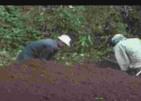 Shock as Kenyan Man Exhumes Wife’s Body to Sell His Land 
