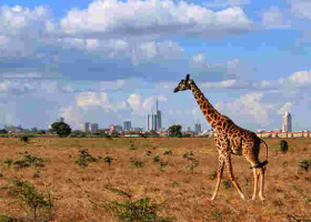 Kenya Named Africa's Leading Tourist Destination by World Travel Awards 
