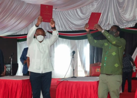 Say No to BBI Referendum, Lobby Group for Kenyans in the Diaspora Asks Voters 