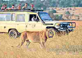 Kenya Named the World's Leading Safari Destination