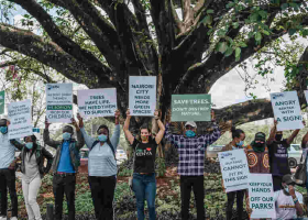 Uhuru Comes to the Rescue of 100-Year-Old Mugumo Tree Located in Westlands, Nairobi 