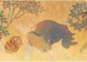 Google Doodle Pays Tribute to Iconic Rhino Who Died in Kenya 