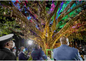 Uhuru Unveils Declaration for Preservation of the Iconic Fig Tree in Westlands, Nairobi 