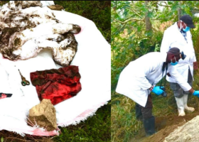 Son of US-Based Man Whose Family Was Wiped Out in Kiambu Helps Police Recover Murder Weapons 