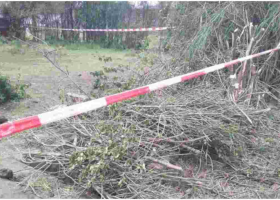 Five Children Die After Falling into Septic Tank in Ruiru 