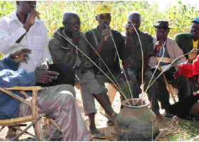 Busaa is Not Illicit Liquor, Nairobi Court Rules 