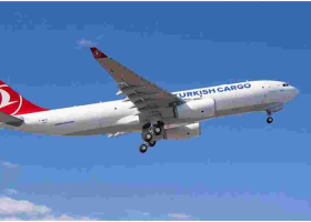 Kenyan Teen Found Alive After Clinging to Landing Gear of Flight from London to Netherlands 