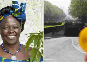 Belgium’s Longest Tunnel Could be Renamed After Wangari Maathai 